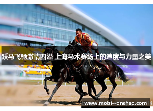 跃马飞驰激情四溢 上海马术赛场上的速度与力量之美